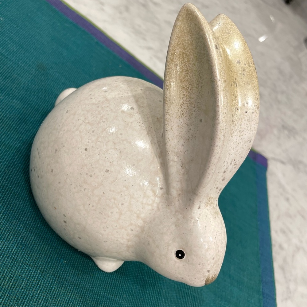 Sweet Bunny with Golden Ears